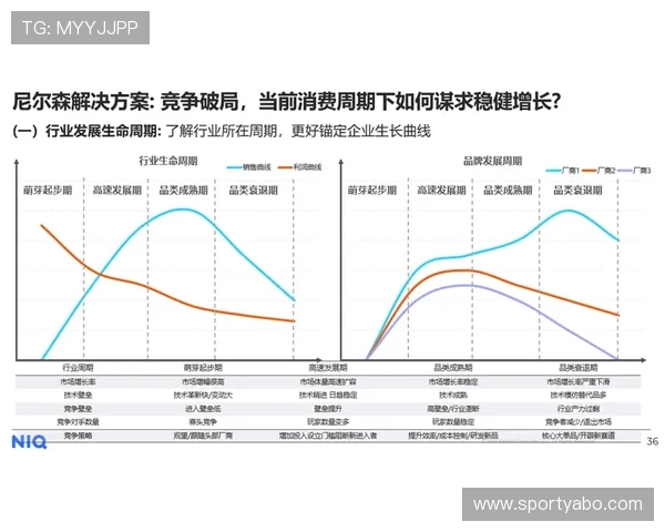 yb体育官网在体育行业中的发展趋势与未来规划，助力用户把握最新行业动态