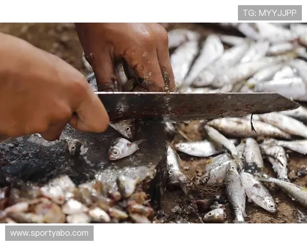 亚博捕鱼：线上捕鱼平台的安全保障措施与用户权益保护
