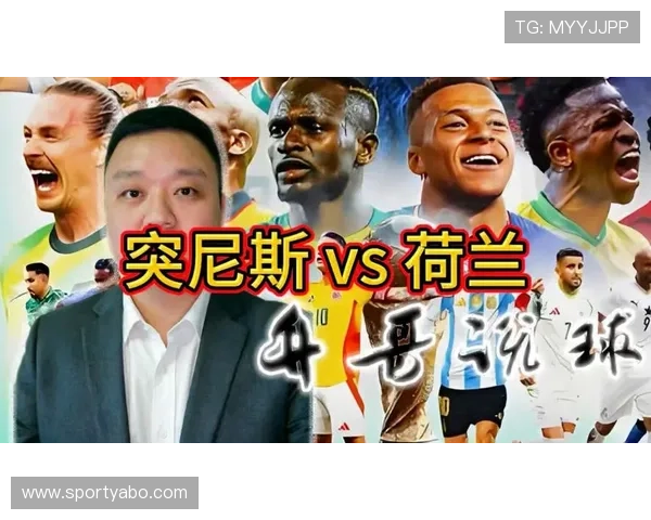 2026年世界杯突尼斯与荷兰比赛场地容量规模及其对比赛影响的全面解读